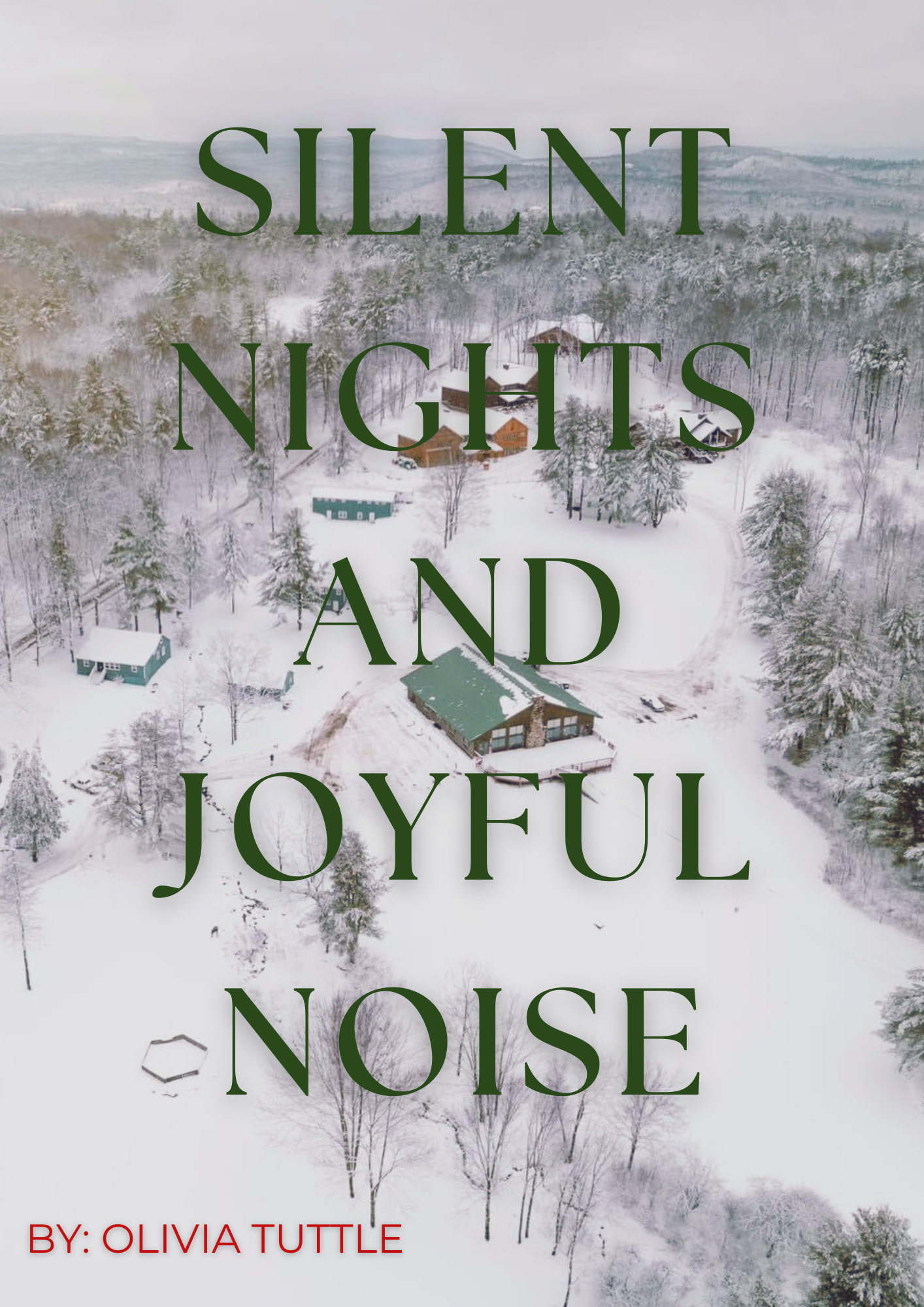 Silent Nights and Joyful Noise